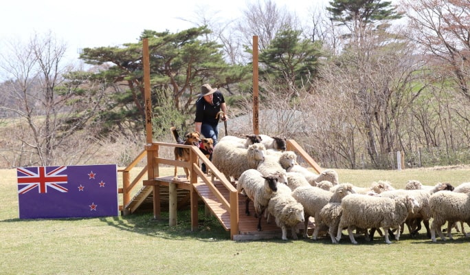 Tochigi Nasu Animal Kingdom Entrance Ticket