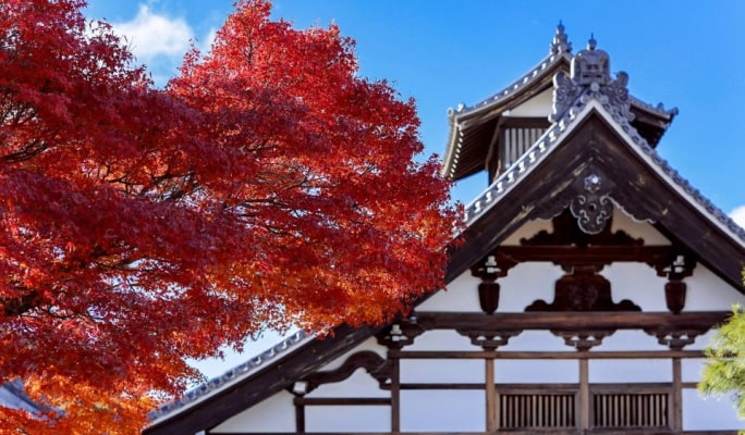 Kyoto Sanzenin & Arashiyama & Bamboo Forest &  1 Day Tour from Osaka/Kyoto