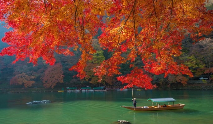 Kyoto Sanzenin & Arashiyama & Bamboo Forest &  1 Day Tour from Osaka/Kyoto