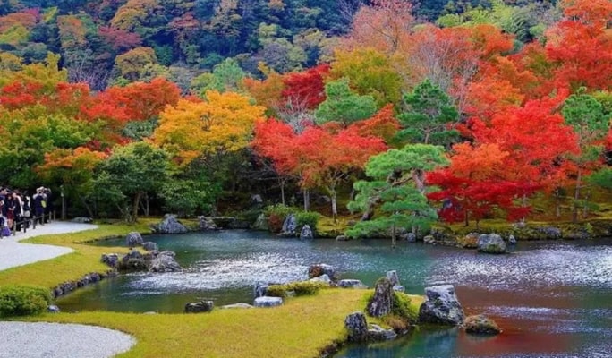Kyoto Sanzenin & Arashiyama & Bamboo Forest &  1 Day Tour from Osaka/Kyoto