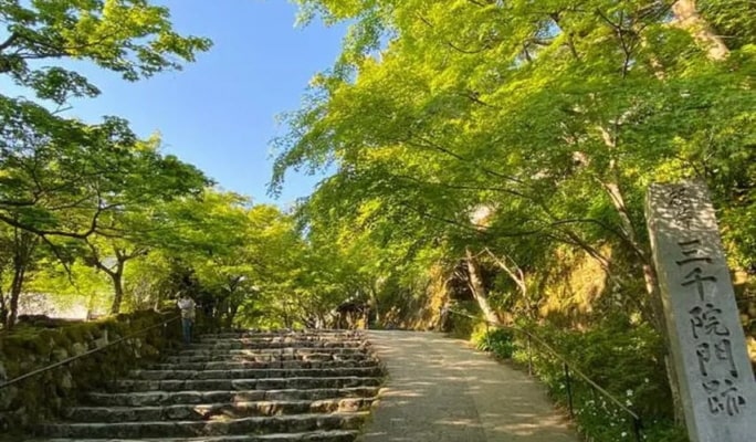 Kyoto Sanzenin & Arashiyama & Bamboo Forest &  1 Day Tour from Osaka/Kyoto