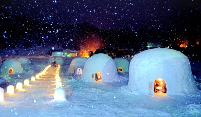 Nagoya Snow Monkey Park 1-Day Bus Tour with Beef Sukiyaki Lunch from Tokyo