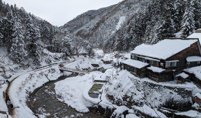 Nagoya Snow Monkey Park 1-Day Bus Tour with Beef Sukiyaki Lunch from Tokyo