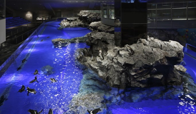 Sumida Aquarium Admission Ticket