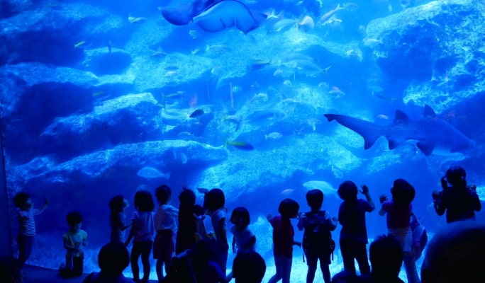 Sumida Aquarium Admission Ticket