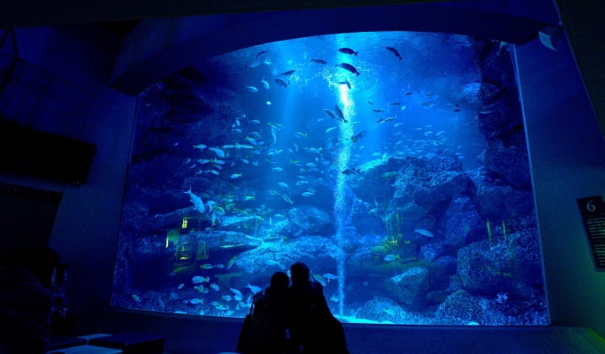 Sumida Aquarium Admission Ticket