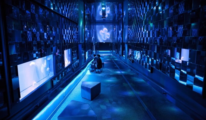Sumida Aquarium Admission Ticket