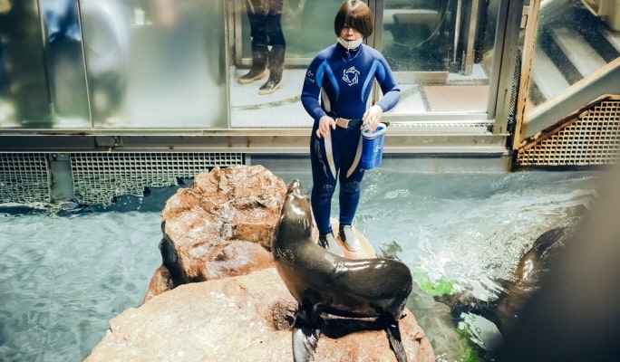 Sumida Aquarium Admission Ticket