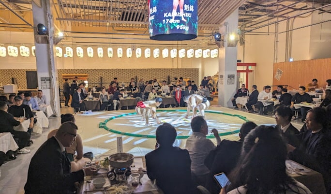 Sumo Show and Kimono Experience in Osaka