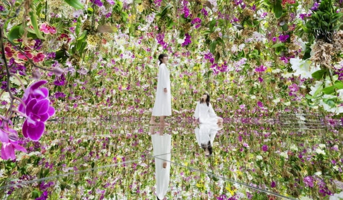 teamLab Planets TOKYO DMM  & Tokyo Tower Main Deck Admission Tickets