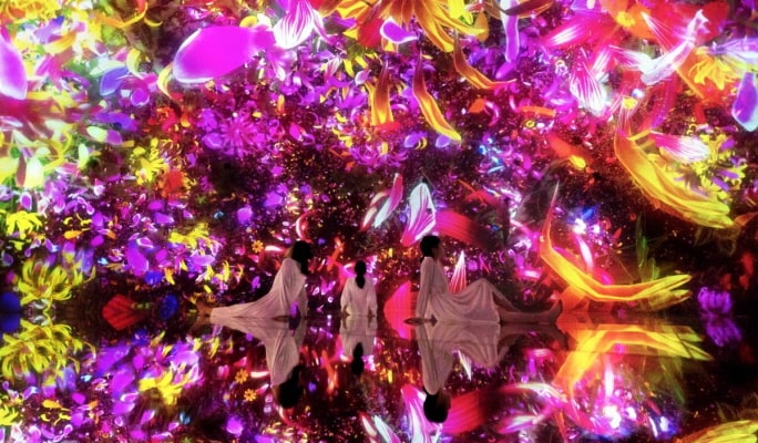 teamLab Planets TOKYO DMM  & Tokyo Tower Main Deck Admission Tickets