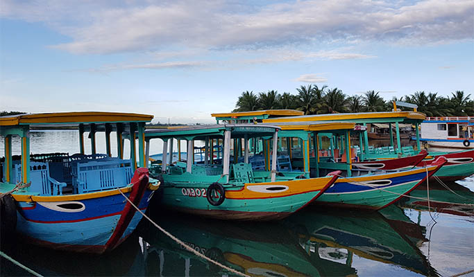 My Son Sanctuary & Hoi An City 1 Day Tour - from Da Nang/Hoi An