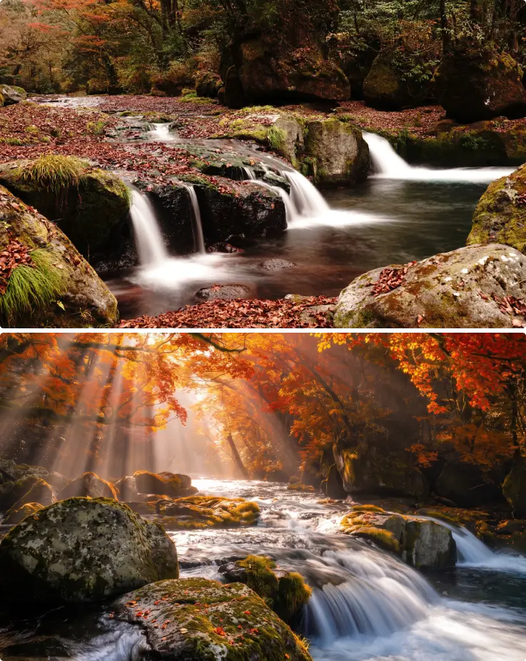 Scenic autumn landscape with vibrant maple trees and a flowing river at Kikuchi Gorge