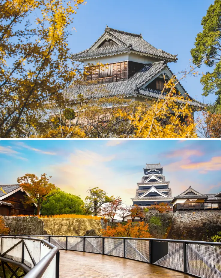 The iconic Kumamoto Castle framed by brilliant golden ginkgo trees during autumn