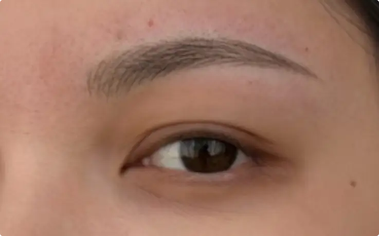 Procedure example of Natural Brows