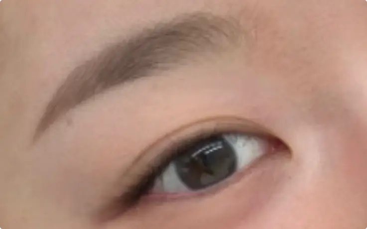 Procedure example of Powder Brows