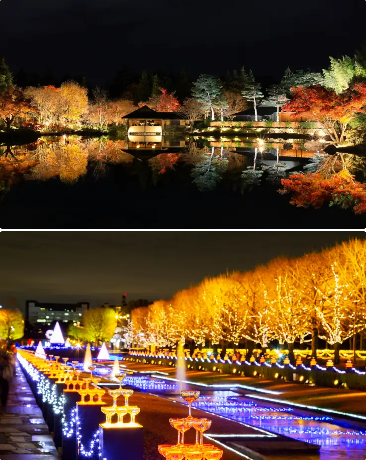 Autumn Night Walk light-up event at Showa Kinen Park featuring illuminated ginkgo trees