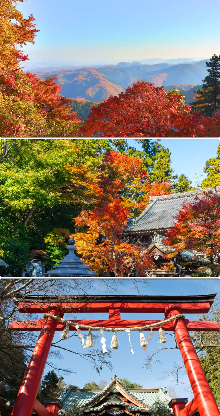 Autumn scenery at Mount Takao on top and Yakuoin Temple surrounded by vibrant autumn leaves on the middle and bottom