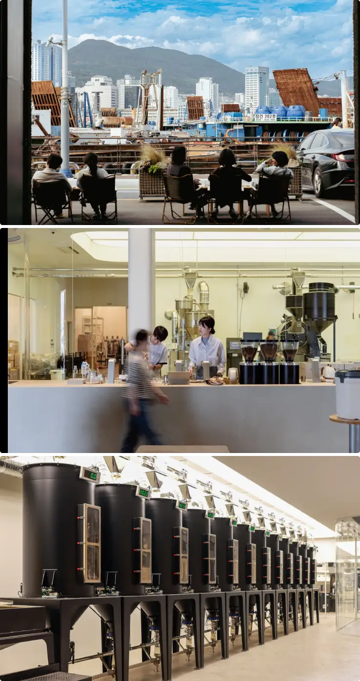 Visitors having coffee at Momos coffee on top, Cafe counter on middle, Roasting machines on the bottom