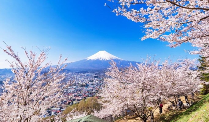Mt.Fuji Oshino Hakkai + Lake Kawaguchi 1 Day Tour from Tokyo