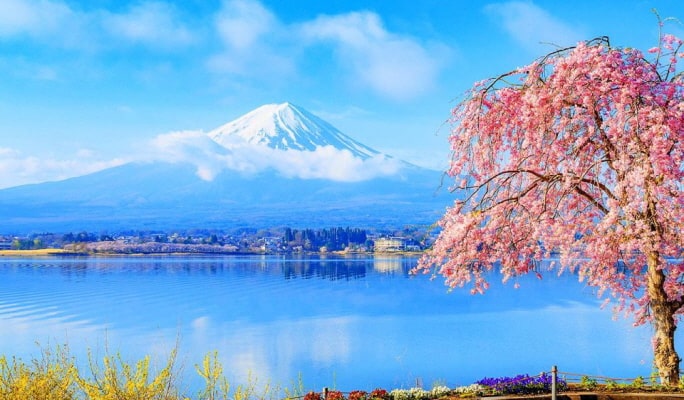 Mt.Fuji Oshino Hakkai + Lake Kawaguchi 1 Day Tour from Tokyo