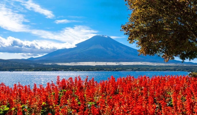 Mt. Fuji Lake Kawaguchi + Onsen + Wind & Ice Cave 1 Day Tour from Tokyo