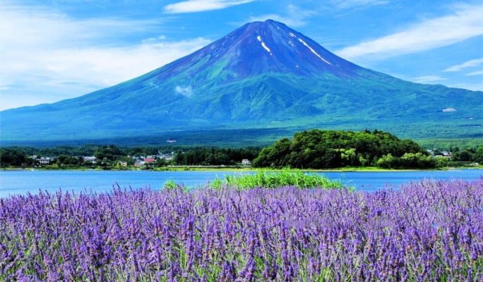 Mt. Fuji Lake Kawaguchi + Onsen + Wind & Ice Cave 1 Day Tour from Tokyo