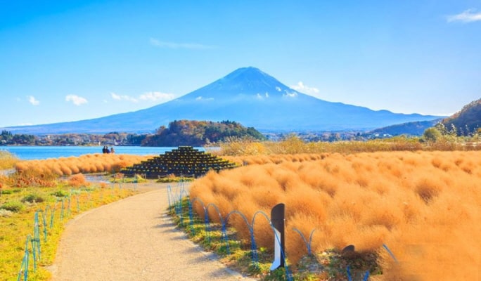 Mt. Fuji Lake Kawaguchi + Onsen + Wind & Ice Cave 1 Day Tour from Tokyo