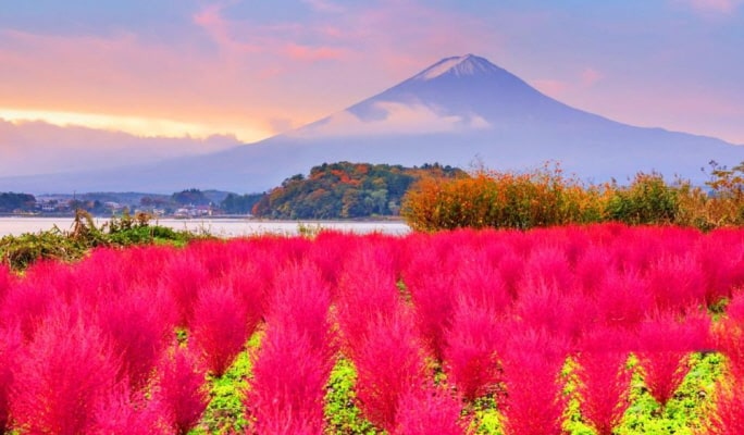 Mt. Fuji Lake Kawaguchi + Onsen + Wind & Ice Cave 1 Day Tour from Tokyo