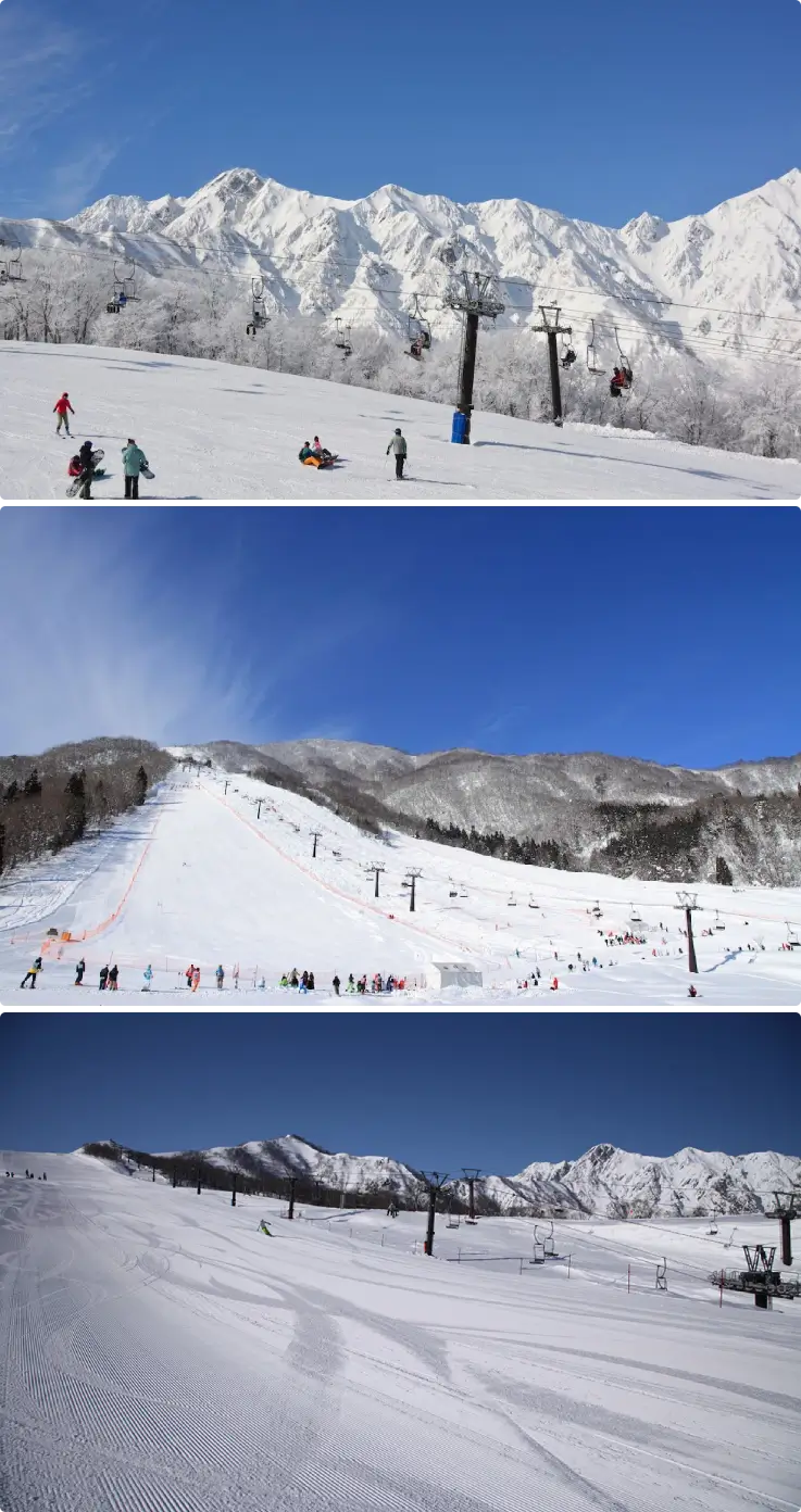Wide ski slopes with excellent powder snow at Hakuba GORYU & Hakuba 47.