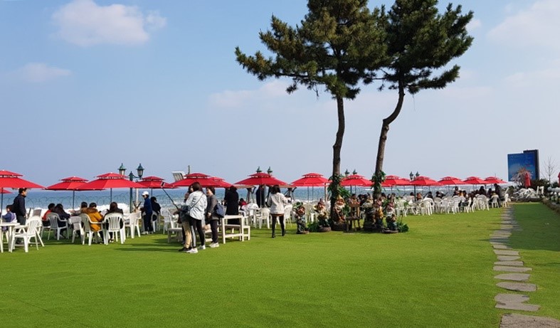 Goseong Lavender Farm & Seoraksan Mountain / Sokcho 1 Day Tour (Jun 10~22)