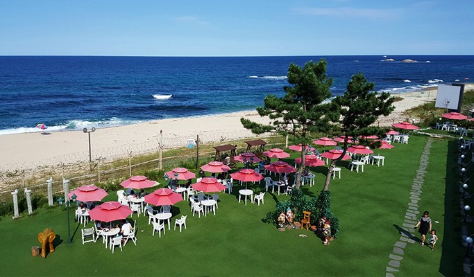 Goseong Lavender Farm & Seoraksan Mountain / Sokcho 1 Day Tour (Jun 10~22)