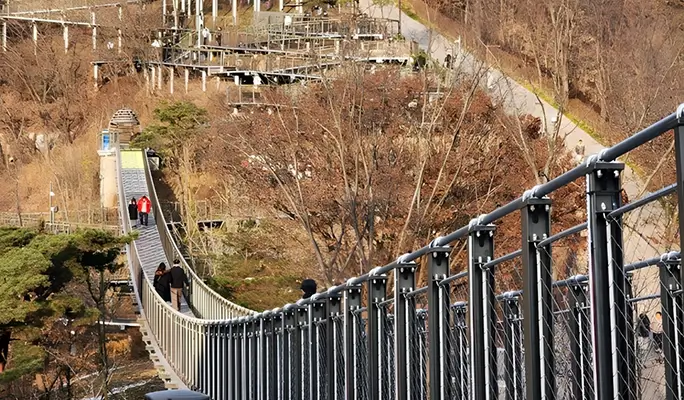 Aegibong Peace Ecopark & Suspension Bridge + Eunpyeong Hanok Village Tour (+ Haneul Park/ Haengju Fortress options)