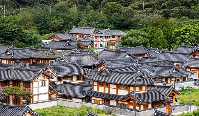 Aegibong Peace Ecopark & Suspension Bridge + Eunpyeong Hanok Village Tour (+ Haneul Park/ Haengju Fortress options)