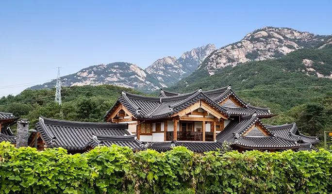 Aegibong Peace Ecopark & Suspension Bridge + Eunpyeong Hanok Village Tour (+ Haneul Park/ Haengju Fortress options)