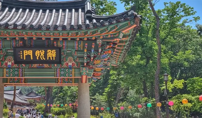 Aegibong Peace Ecopark & Suspension Bridge + Eunpyeong Hanok Village Tour (+ Haneul Park/ Haengju Fortress options)