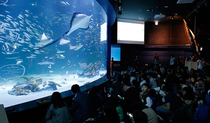 Daegu Alive Aquarium Discount Ticket