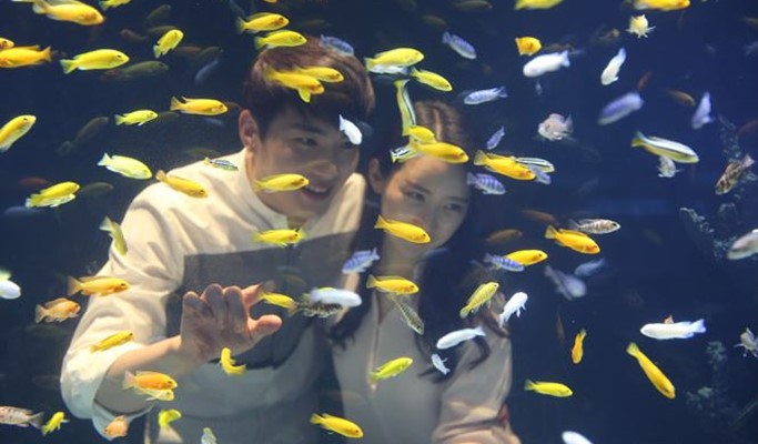 Daegu Alive Aquarium Discount Ticket