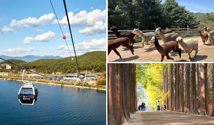 Alpaca World + Nami Island + Samaksan Mountain Lake Cable Car 1 Day Tour - from Seoul