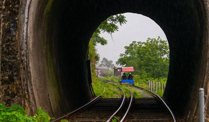Spring Special: Alpaca World + Nami Island/Garden of Morning Calm/Gangchon Rail Bike/Strawberry Picking 1 Day Private Tour From Seoul (~May)
