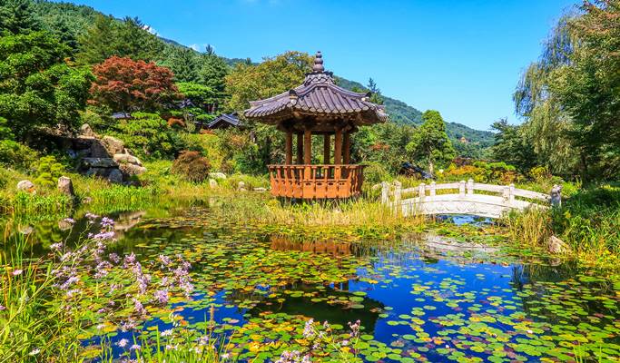 Spring Special: Alpaca World + Nami Island/Garden of Morning Calm/Gangchon Rail Bike/Strawberry Picking 1 Day Private Tour From Seoul (~May)