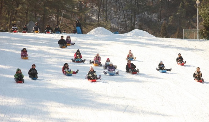 Seoul Vicinity: Alpaca World + Snow Sled + Strawberry Farm 1 Day Tour (Dec~Feb)