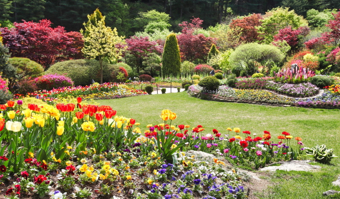 Nami Island & Alpaca World Tour (+ Rail Bike or Garden of Morning Calm options)