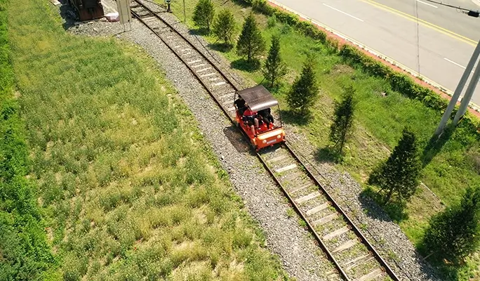 Alpaca World + Rail Bike + Vivaldi Park 1 Day Tour - from Seoul (Apr 4~Jun 30)