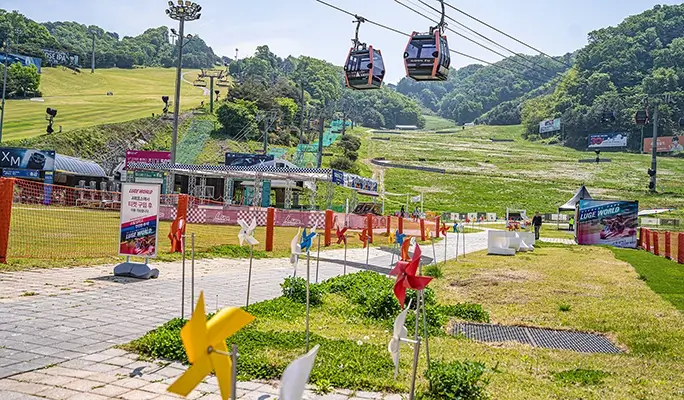 Alpaca World + Rail Bike + Vivaldi Park 1 Day Tour - from Seoul (Apr 4~Jun 30)