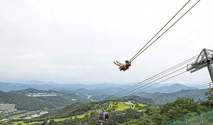 Alpaca World + Rail Bike + Vivaldi Park 1 Day Tour - from Seoul (Apr 4~Jun 30)