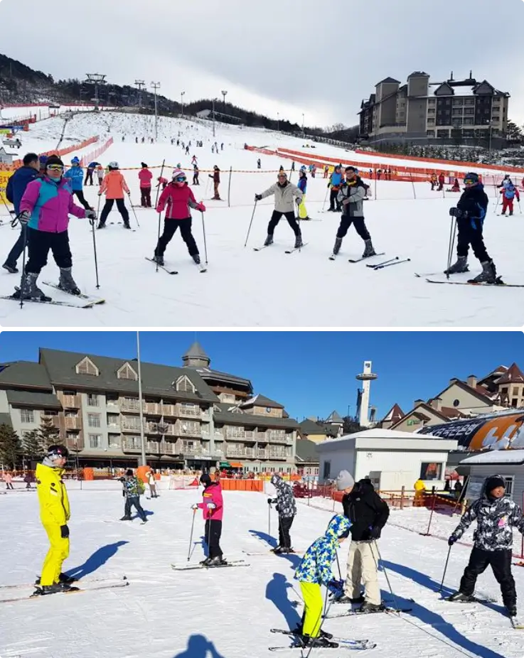 Skiers taking a group ski lesson at Alpensia Ski Resort