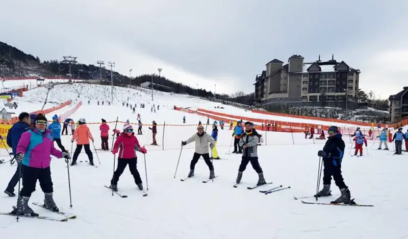 Alpensia Ski Resort: Basic 1-hour Group Ski Lesson (Lesson Only) - view 1