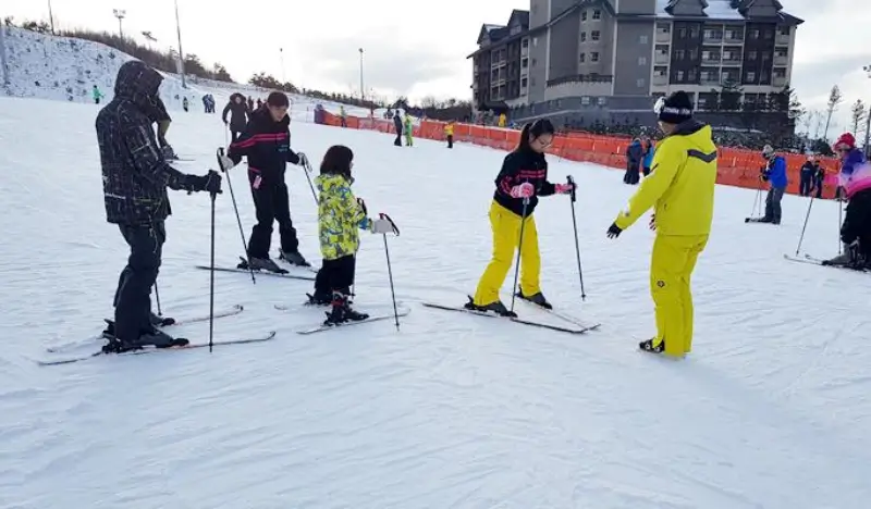 Alpensia Ski Resort: Basic 1-hour Group Ski Lesson (Lesson Only) - view 2