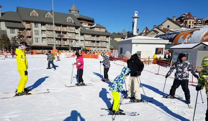 Alpensia Ski Resort: Basic 1-hour Group Ski Lesson (Lesson Only)